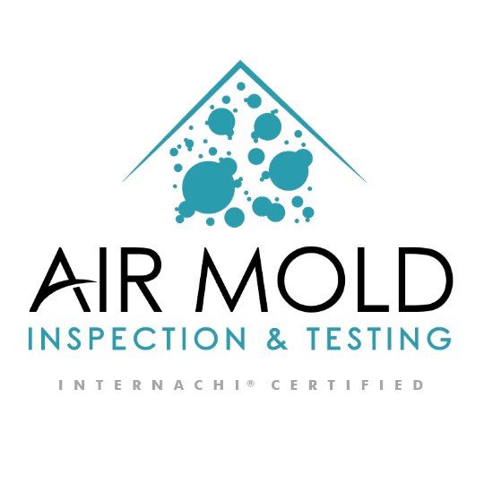 Air Mold Inspection and Testing