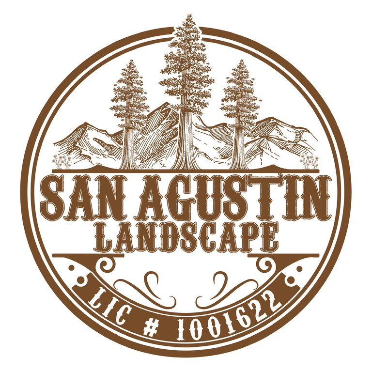 San Agustin Landscape