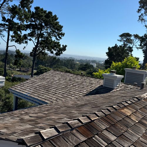 Roof Cleaning