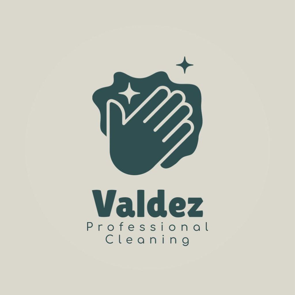 Valdez Professional Cleaning & Multi Services