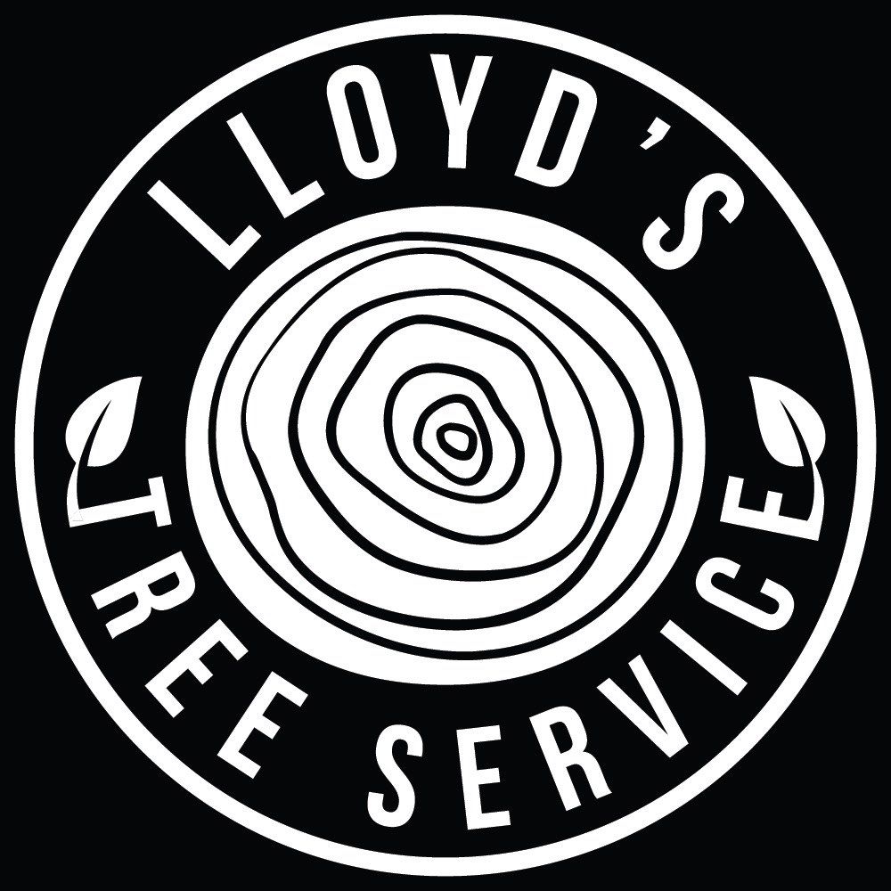 Lloyd's tree service