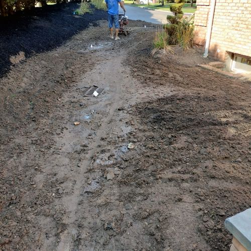 Sod Installation