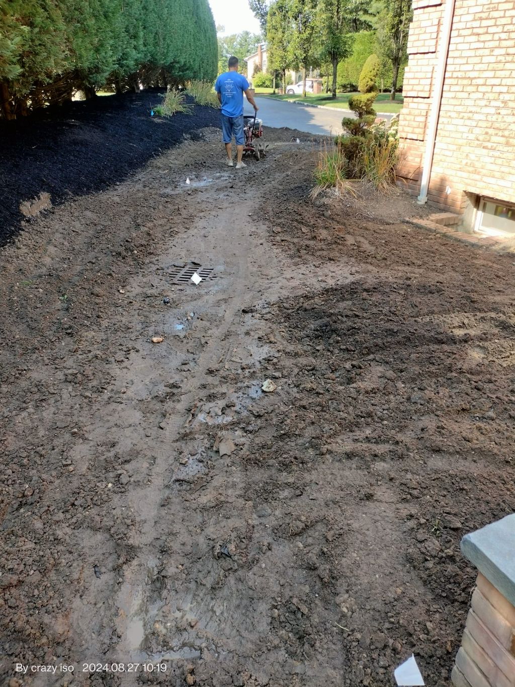 Sod Installation