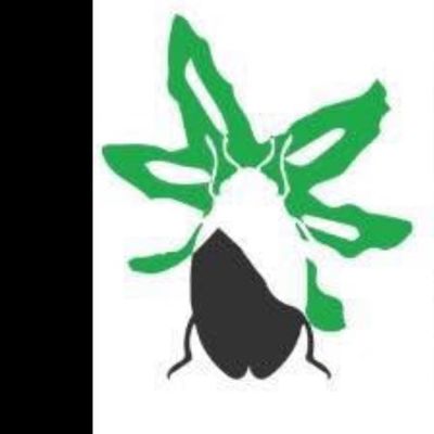 Avatar for Buckeye Bug Services