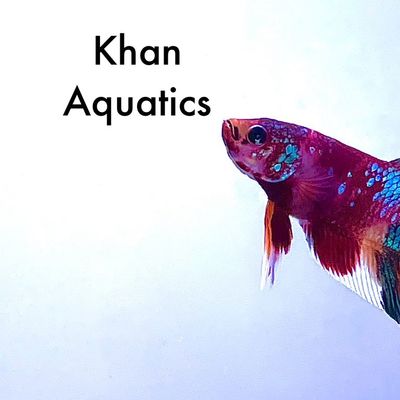 Avatar for Khan Aquatics