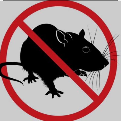 Avatar for Deivis pest control