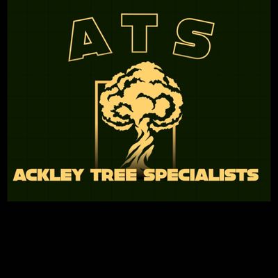 Avatar for Ackley Tree Specialists