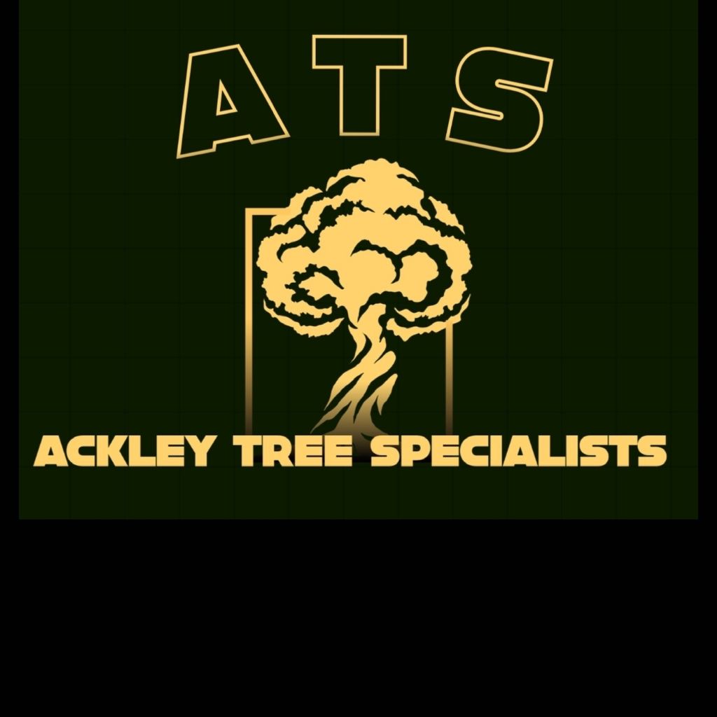 Ackley Tree Specialists