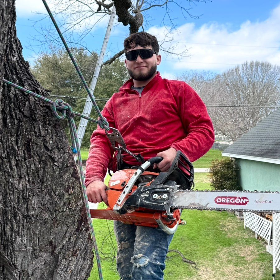 José tree service