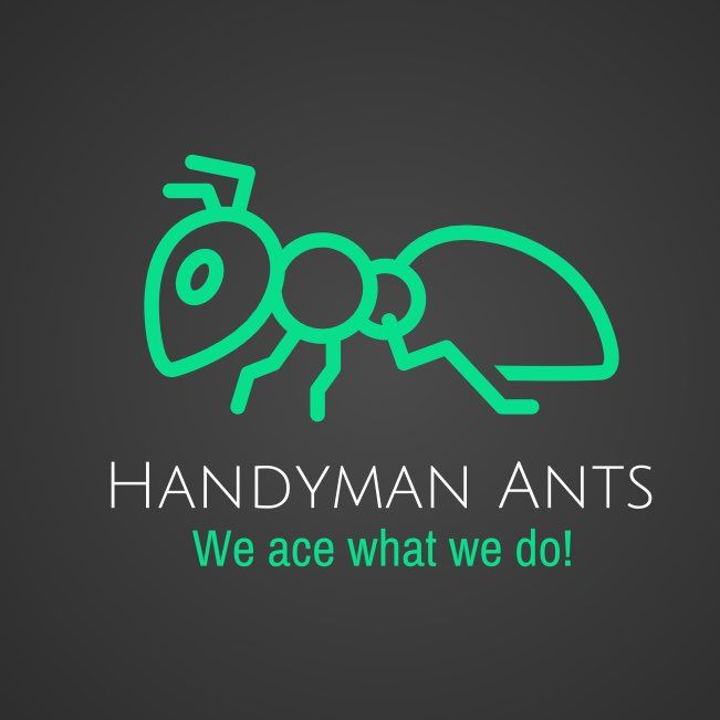Handyman Ants