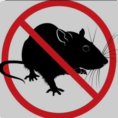 Avatar for Deivis rodent control