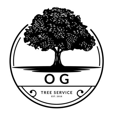 Avatar for OG landscaping and tree service