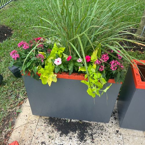 Planter painted gray and orange flowers planted pe