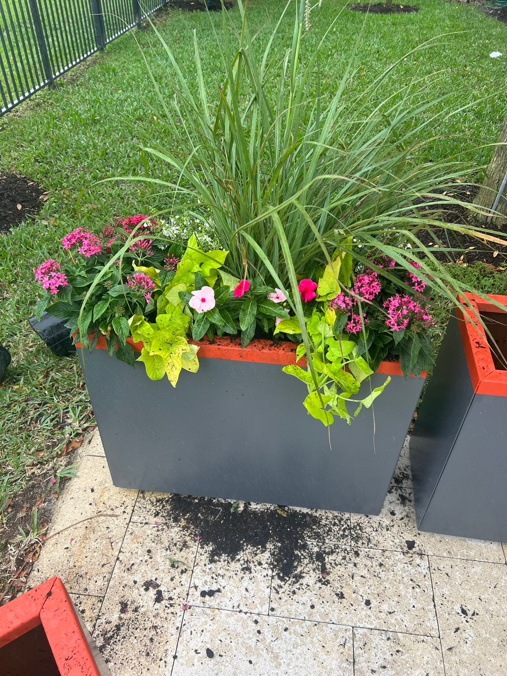 Planter painted gray and orange flowers planted pe