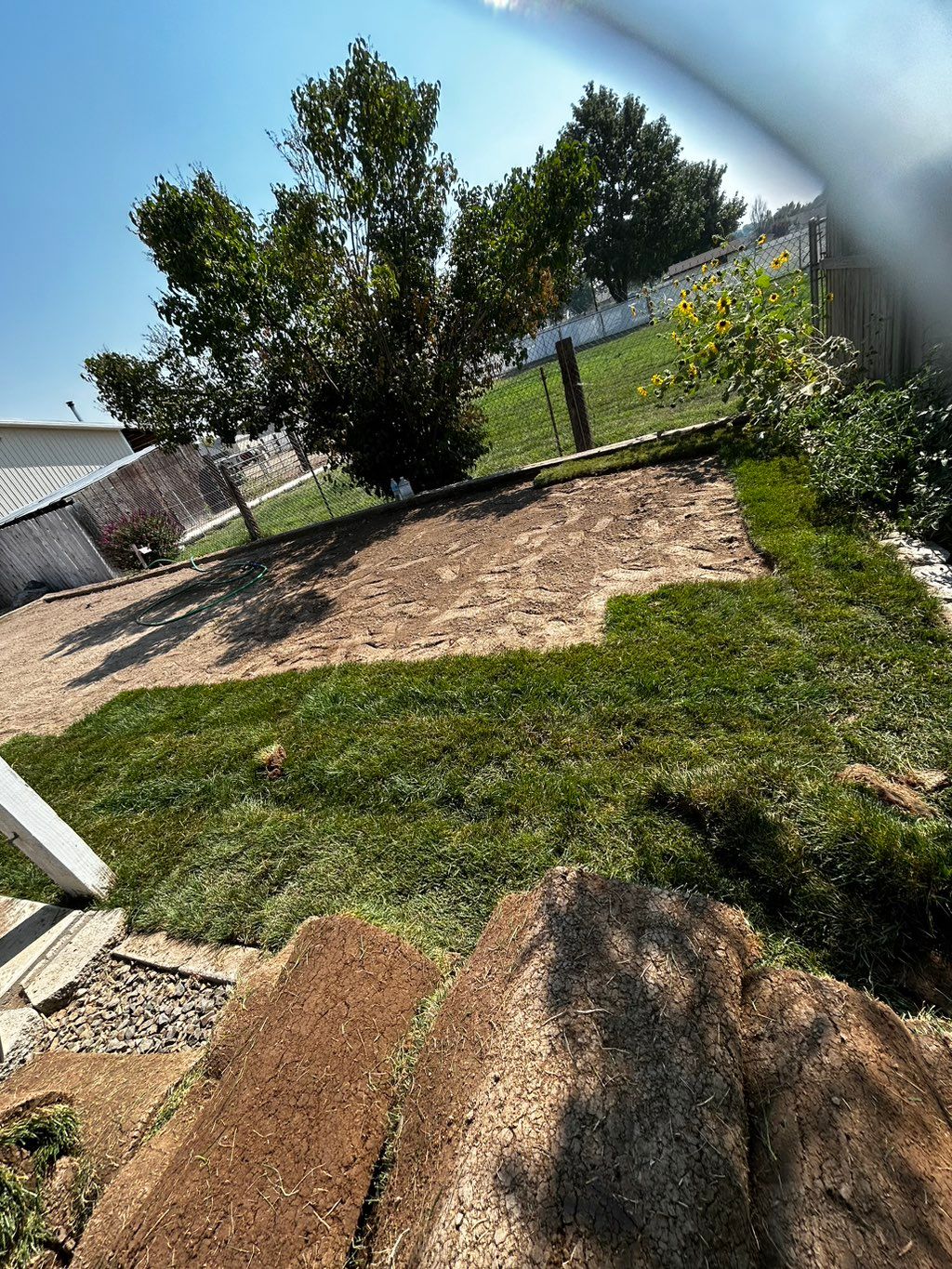 Sod installation process