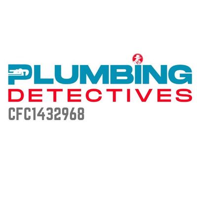 Avatar for Plumbing detectives