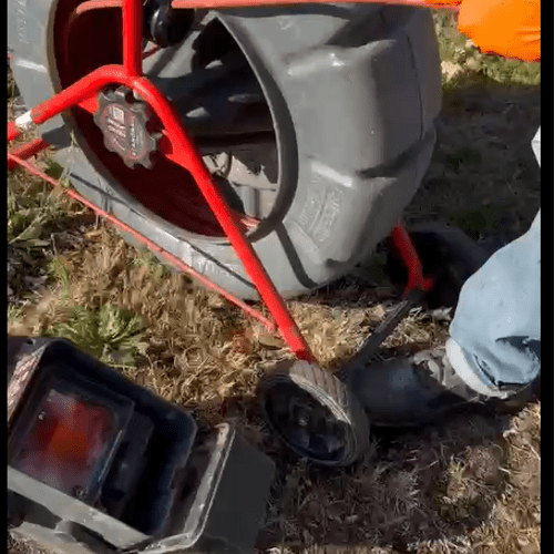 Camera inspection to make sure pesky roots haven't