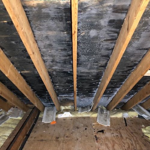 Mold Inspection and Removal