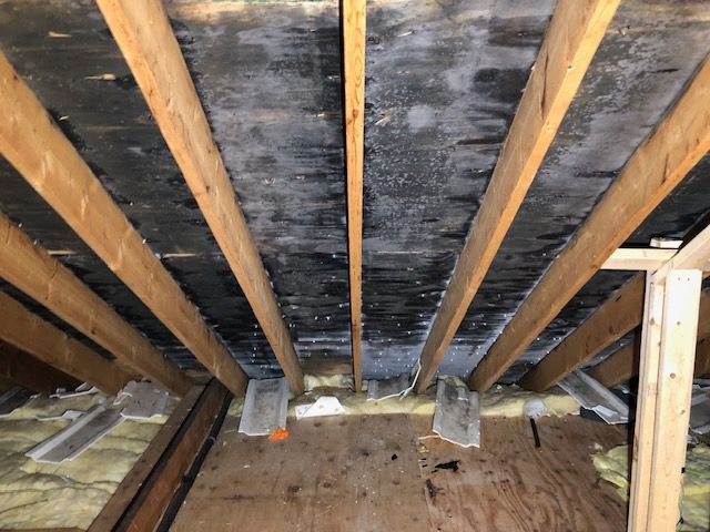 Mold Inspection and Removal