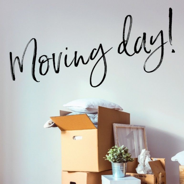 Moving Day LLC