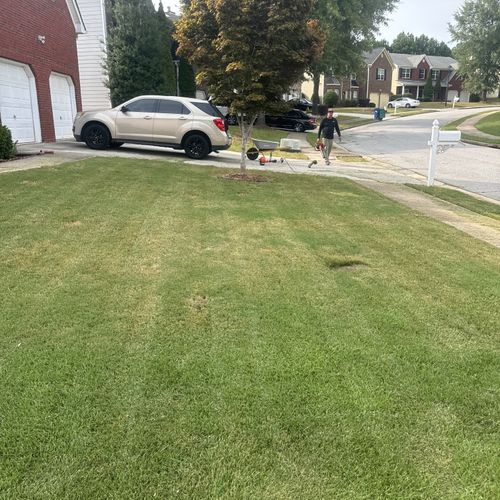 Full Service Lawn Care