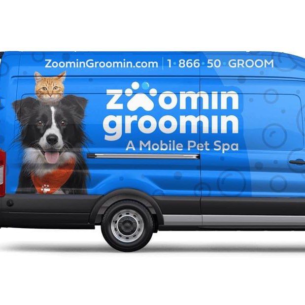 Zoomin Groomin