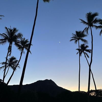 Avatar for Aloha Interior Painting LLC