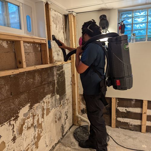 Mold Inspection and Removal