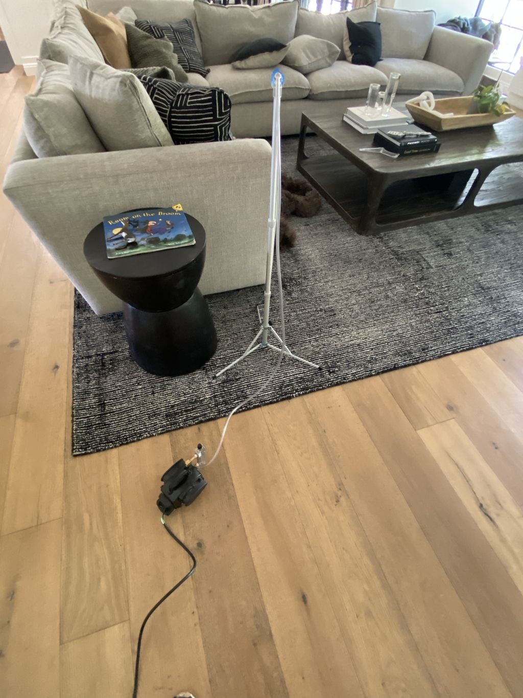 Projects and media