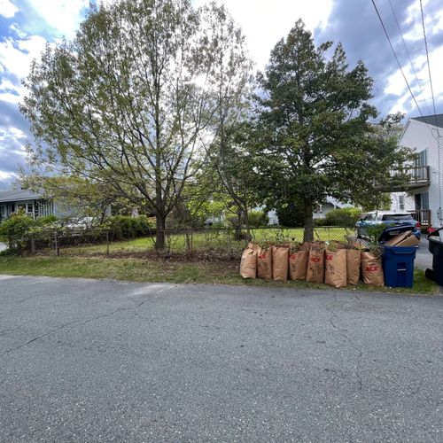 Cody cleaned up all our leaves and filled bags for