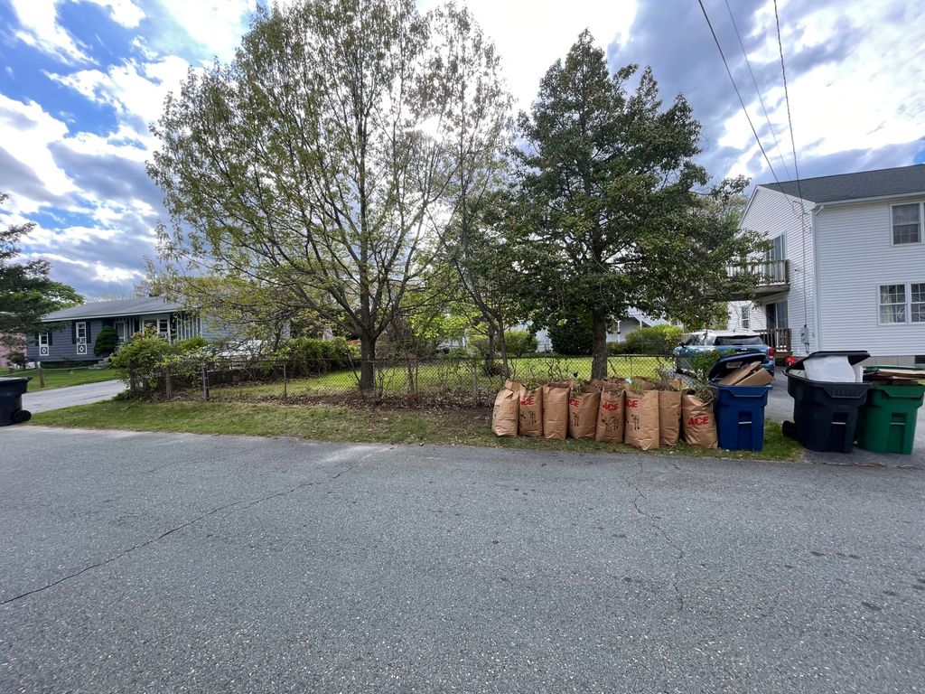 Cody cleaned up all our leaves and filled bags for