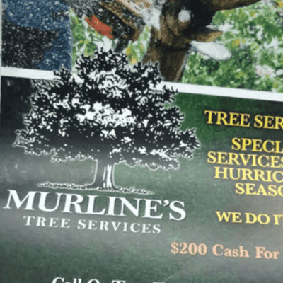 Avatar for Murlines Tree Services, inc