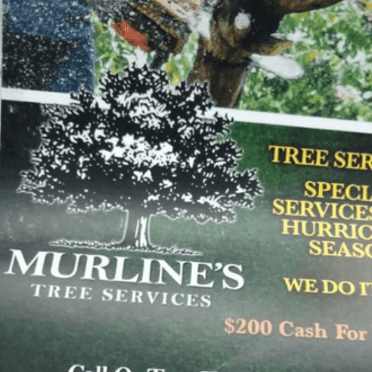 Murlines Tree Services, inc