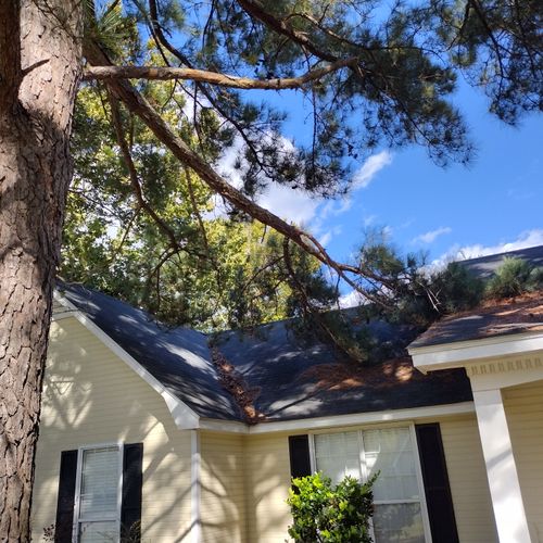 Roof Cleaning