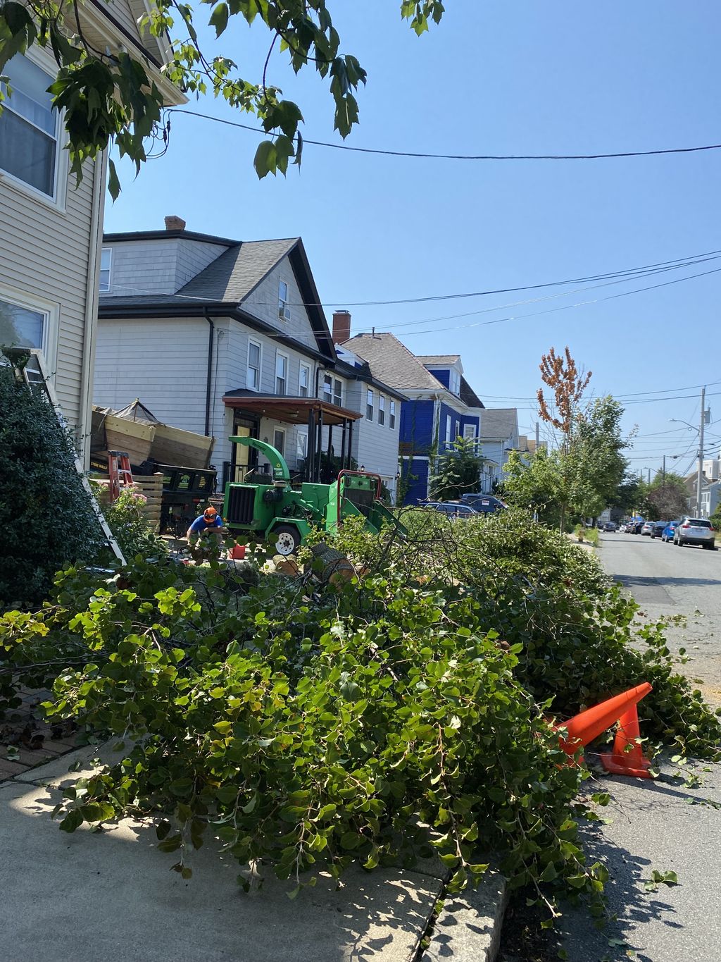 Tree Trimming and Removal