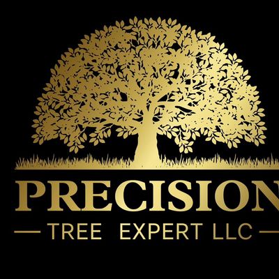 Avatar for Precision Tree Expert LLC