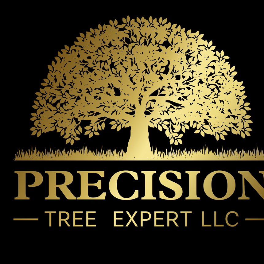 Precision Tree Expert LLC