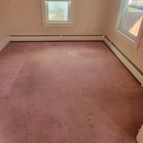 Carpet Removal