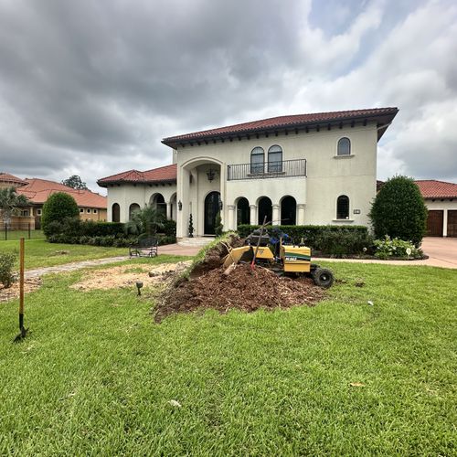 Tree Stump Grinding and Removal