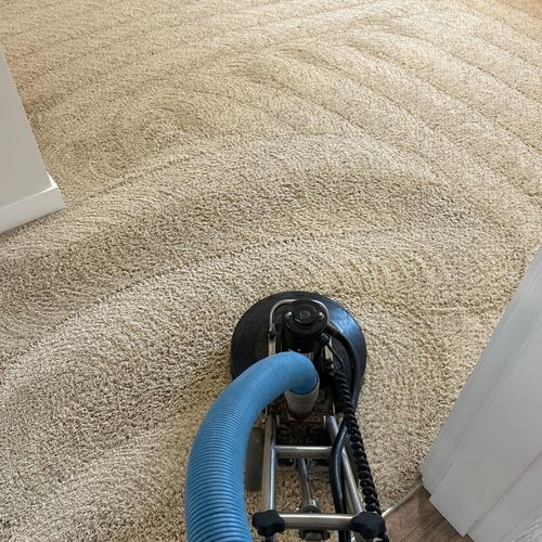 Carpet Cleaning