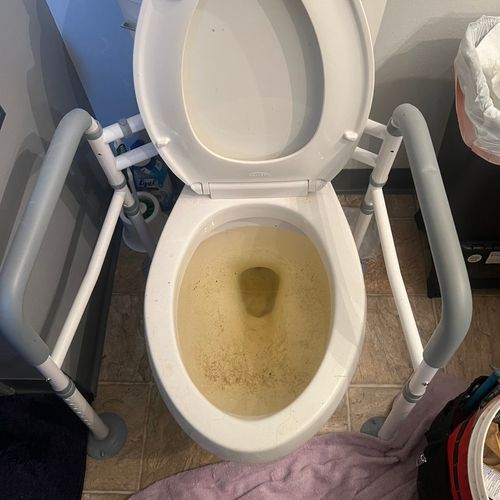 Clogged Toilet