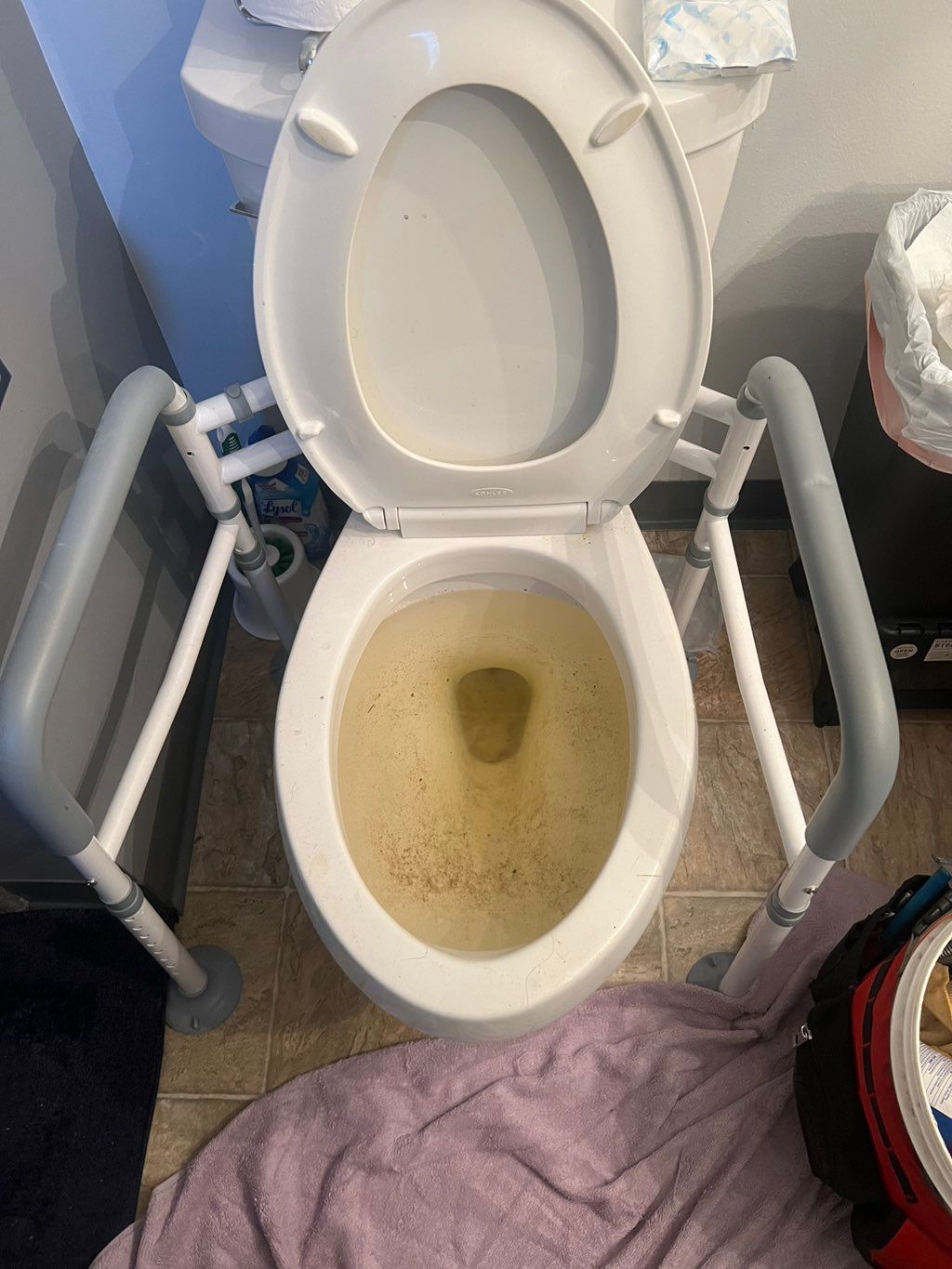 Clogged Toilet
