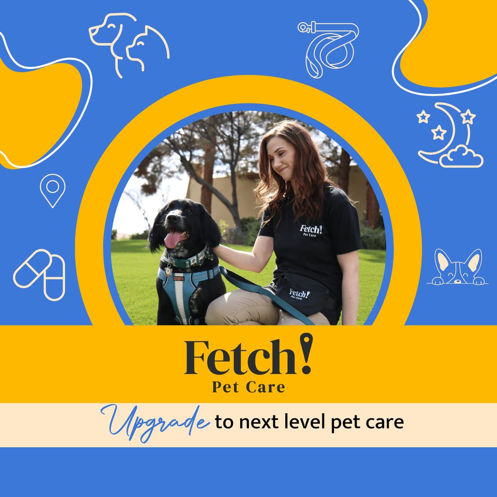 Fetch Pet Care West Palm Beach