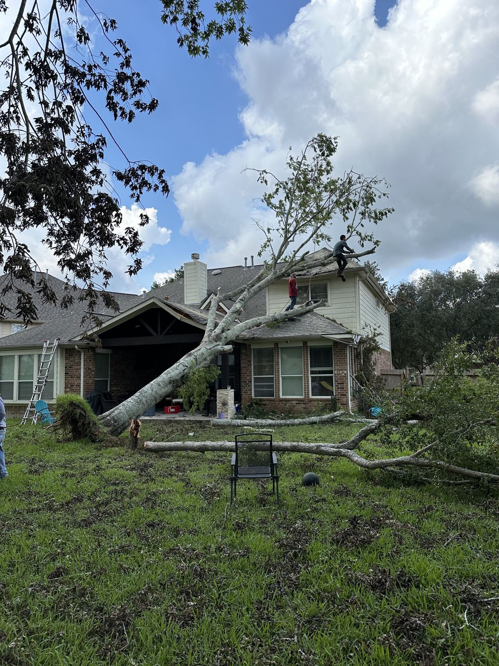 Tree Trimming and Removal