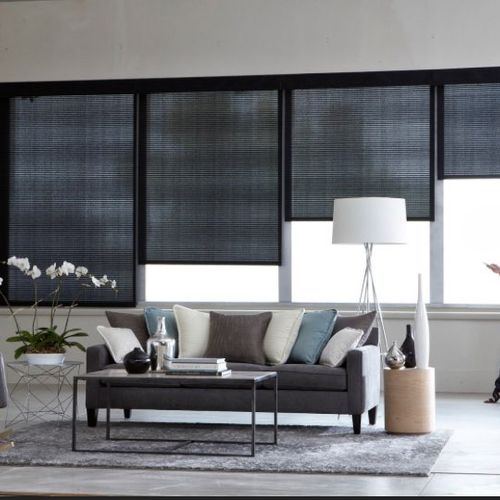 Motorized Shades with Remote