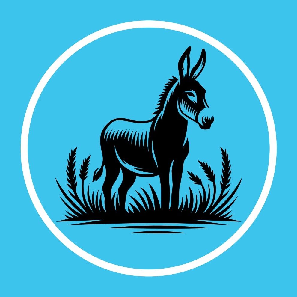 Donkey's Pressure Washing Charlotte, NC Thumbtack