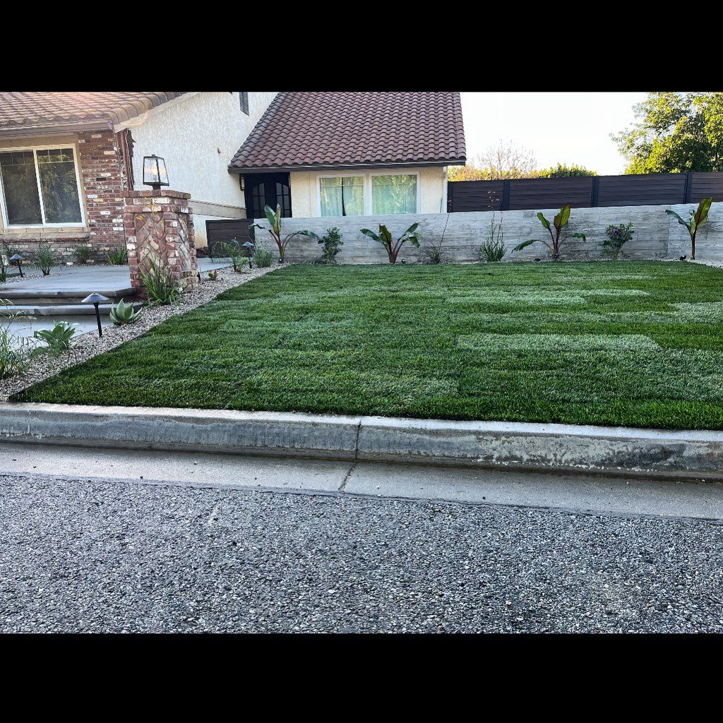 Sod installation and planting your favorite plants