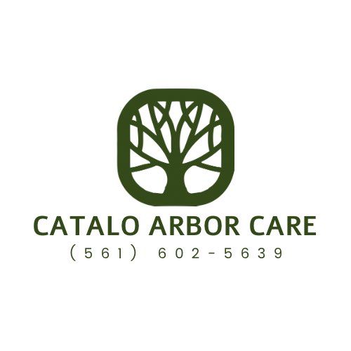 Catalo Arbor Care