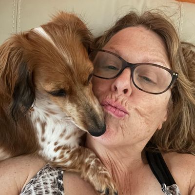 Avatar for Diane’s Pet Care