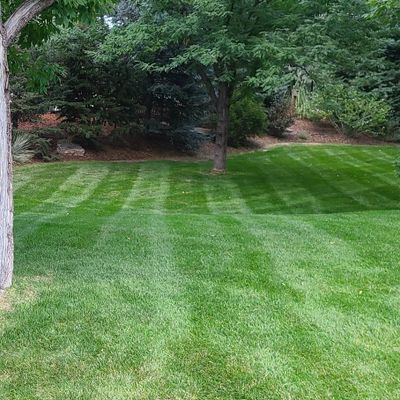 Avatar for Silcast Landscaping LLC